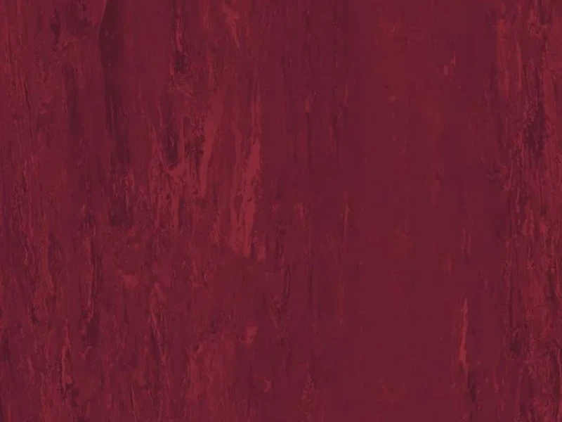 Standard XL — Black Cherry 8580