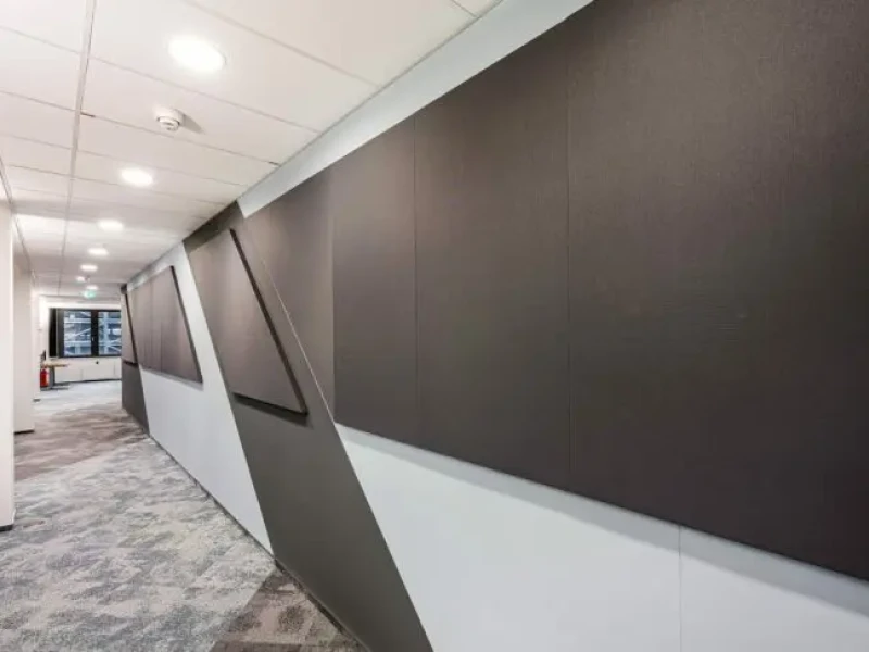 Selecta one, plus, grande and grande XL wall absorber