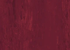 Standard XL — Black Cherry 8580