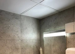 T-профіль Fortis