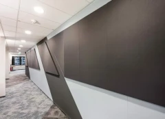 Selecta one, plus, grande and grande XL wall absorber